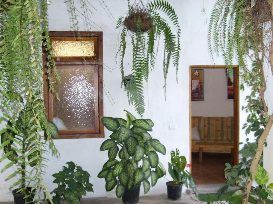Santa Catalina Preciosa Casa Emblematatica, Piscina,Wifiヴィラ エクステリア 写真
