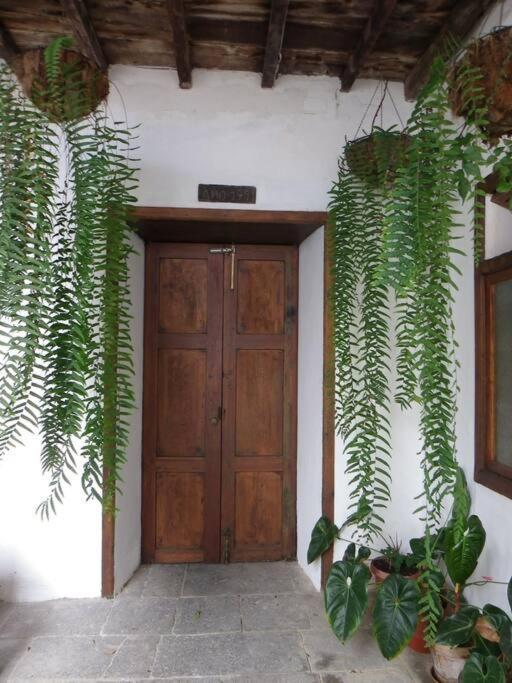 Santa Catalina Preciosa Casa Emblematatica, Piscina,Wifiヴィラ エクステリア 写真