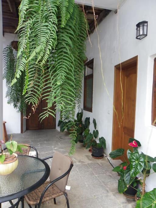 Santa Catalina Preciosa Casa Emblematatica, Piscina,Wifiヴィラ エクステリア 写真