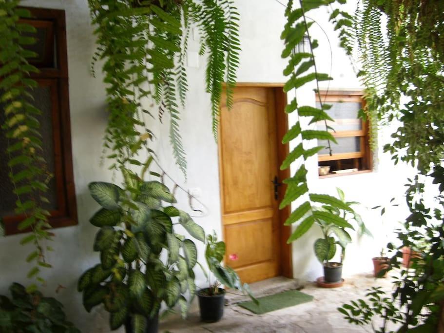 Santa Catalina Preciosa Casa Emblematatica, Piscina,Wifiヴィラ エクステリア 写真